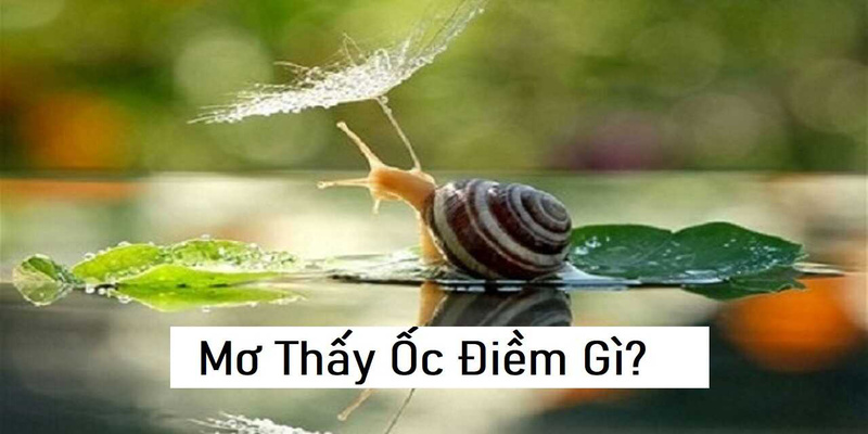 Mơ thấy ốc