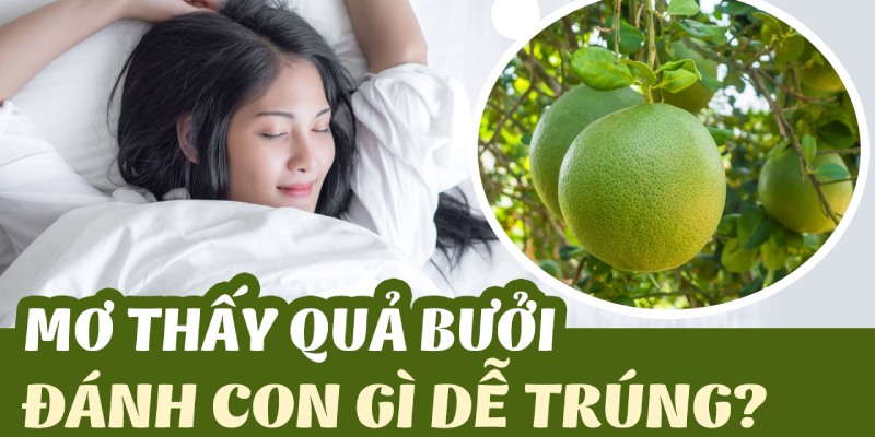 Mơ thấy quả bưởi tương ứng với một con số khác nhau