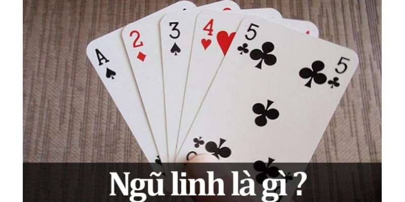 Ngũ linh là nhóm bài ai cũng muốn sở hữu