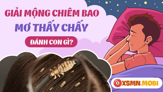 Mơ thấy chấy nên mua vé số bao nhiêu?
