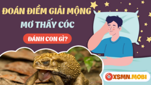 Chiêm bao thấy con cóc đánh con số mấy?
