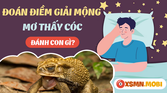 Chiêm bao thấy con cóc đánh con số mấy?