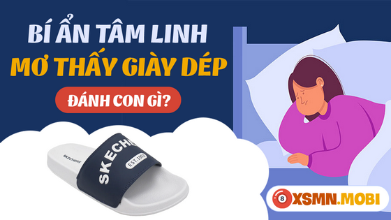Chiêm bao thấy dép đánh số bao nhiêu?